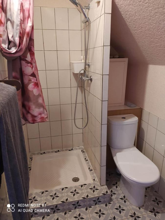 Ferienwohnung La Squiffiecoise Exterior foto
